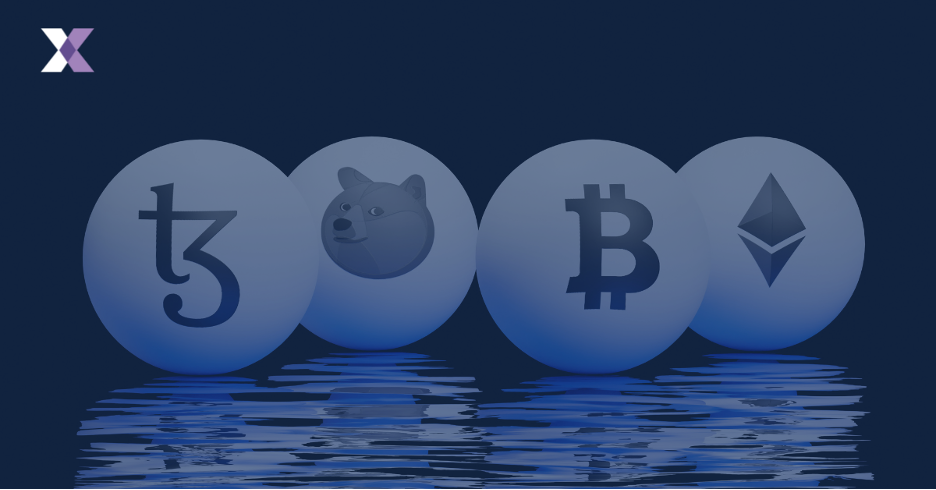 Focus on Cryptocurrency and Digital Assets 